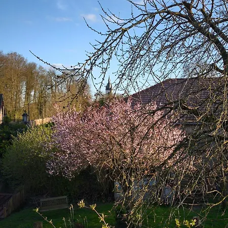 Cassandra's Dom wakacyjny